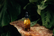 Load image into Gallery viewer, Cherry Bark Ritual Spell Oil