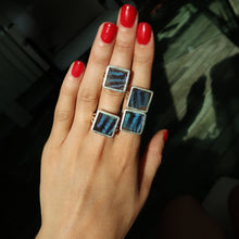 Load image into Gallery viewer, Mexican Bluewing Butterfly Silver and Platinum Ring From Peru