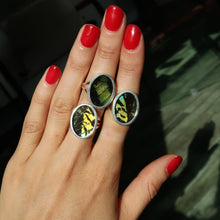 Load image into Gallery viewer, Sunset Moth Silver and Platinum Ring From Peru
