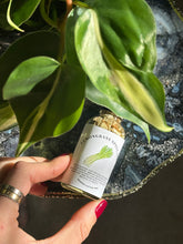 Load image into Gallery viewer, Lemon Grass Spell Oil