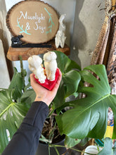 Load image into Gallery viewer, White Female + Male Couples Candle