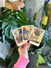 Load image into Gallery viewer, The Seashell Oracle 44 Card Deck with Guidebook