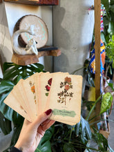 Load image into Gallery viewer, Oracle of The Roses: 44 gilded-edge cards and 144-page book