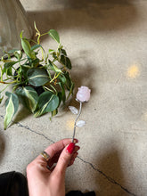 Load image into Gallery viewer, Rose Quartz Crystal Rose Crystal Carving