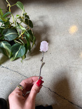 Load image into Gallery viewer, Rose Quartz Crystal Rose Crystal Carving