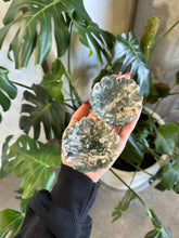 Load image into Gallery viewer, Lotus Flower Moss Agate Crystal Bowl