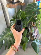 Load image into Gallery viewer, One Black Owl Tapered Candle Holder
