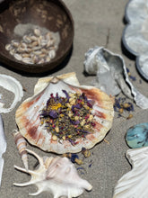 Load image into Gallery viewer, Amphitrite Herbal Bath Salt Mix