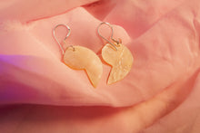 Load image into Gallery viewer, Enchanted Nautilus Shell Earrings