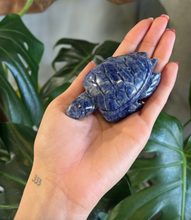 Load image into Gallery viewer, Sodalite Turtle Crystal Carving