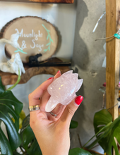 Load image into Gallery viewer, Rose Quartz Turtle Crystal Carving