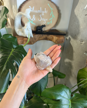 Load image into Gallery viewer, Flower Agate Turtle Crystal Carving