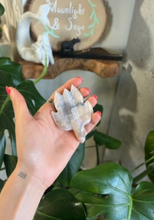 Load image into Gallery viewer, Flower Agate Turtle Crystal Carving