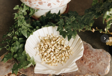 Load image into Gallery viewer, Jasmine Flower Herb