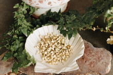 Load image into Gallery viewer, Jasmine Flower Herb