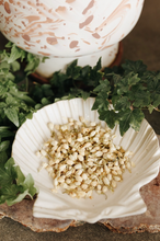 Load image into Gallery viewer, Jasmine Flower Herb