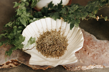 Load image into Gallery viewer, Damiana Herb 1 Oz