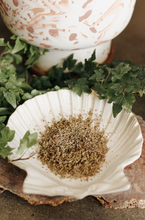 Load image into Gallery viewer, Damiana Herb 1 Oz