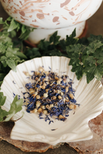 Load image into Gallery viewer, Cornflower Herb 1 Oz