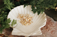 Load image into Gallery viewer, Frankincense Resin Herb 1 Oz