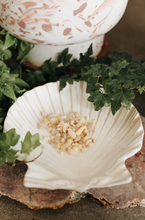 Load image into Gallery viewer, Frankincense Resin Herb 1 Oz