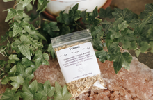 Load image into Gallery viewer, Fennel Herb 1 Oz