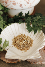 Load image into Gallery viewer, Fennel Herb 1 Oz