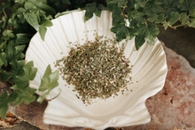 Load image into Gallery viewer, Echinacea Herb (Coneflower) 1 Oz