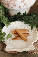 Load image into Gallery viewer, Cinnamon Herb 1 oz (Prosperity, Luck, Power)