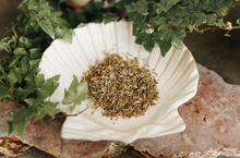 Load image into Gallery viewer, Hyssop Herb (Protection, Removes Hexes and Curses, Cleansing)
