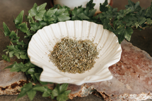 Load image into Gallery viewer, Catnip Herb (Happiness, Harmony, Attraction, Glamour Spells, Divination)