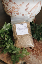 Load image into Gallery viewer, Agrimony Herb 1 Oz