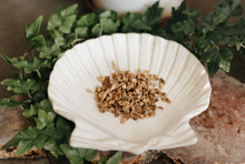 Load image into Gallery viewer, Devil's Claw Root Herb