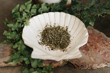 Load image into Gallery viewer, Stinging Nettle Herb 1 Oz