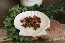 Load image into Gallery viewer, Star Anise Herb 1 Oz (Protects Against Nightmares, Money, Love, Banishing)