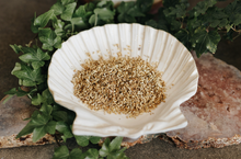 Load image into Gallery viewer, Yarrow Herb 1 oz