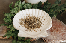 Load image into Gallery viewer, Mullein Herb 1 Oz (Ward Against Nightmares, Protection, Courage, Health, Love)