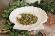 Load image into Gallery viewer, Skullcap Herb 1 Oz (Cleansing, Attracting Money, Harmony, Fidelity)