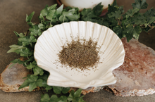 Load image into Gallery viewer, Thyme Herb 1 Oz (Beauty, Protection, Hair Growth, Healing, Clairvoyance)