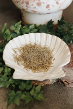 Load image into Gallery viewer, Rosemary Herb 1 Oz (Cleansing, Banishment, Protection, Sleep, Memory)