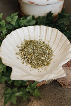 Load image into Gallery viewer, Rue Herb 1 Oz (Healing, Attracting Money, Cleansing, Protection Against Hexes / Evil Eye)