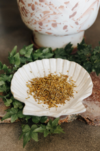 Load image into Gallery viewer, Mistletoe Herb (Protection, Healing, Connection, Lust, Forgiveness, Banishing)