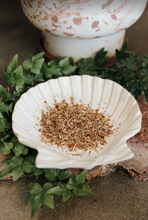 Load image into Gallery viewer, St. John's Wort Herb (Health, Divination, Drive Away Evil Spirits, Love, Strength)