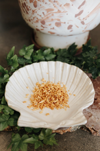 Load image into Gallery viewer, Orange Peel Herb (Luck, Success, Money, Love, Good Fortune, Divination)