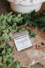 Load image into Gallery viewer, Cardamom Seeds Herb