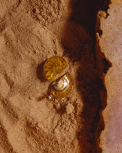 Load image into Gallery viewer, Small Yellow Enchanted Vanessa Shell Necklace