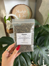 Load image into Gallery viewer, Plantain Leaf Herb 1 Oz (Protection, Repelling Evil / Negative Spirits, Healing, Strength)