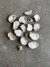 Load image into Gallery viewer, Oyster Shell Candle Into the Depths Siren Ritual Candle