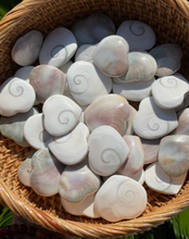 Load image into Gallery viewer, Shiva Eye Shell Heart + Mermaids Money + Ward Off Evil Eye