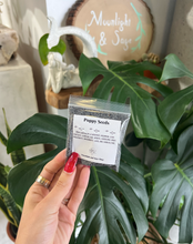 Load image into Gallery viewer, Poppy Seeds Herb